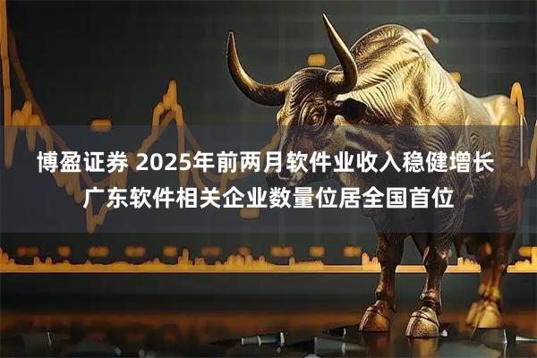 博盈证券 2025年前两月软件业收入稳健增长 广东软件相关企业数量位居全国首位