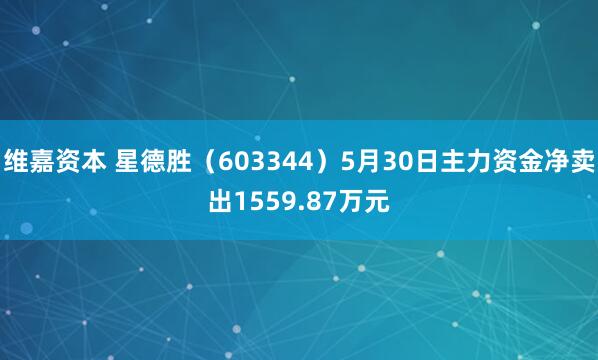 维嘉资本 星德胜（603344）5月30日主力资金净卖出1559.87万元