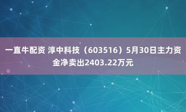 一直牛配资 淳中科技（603516）5月30日主力资金净卖出2403.22万元